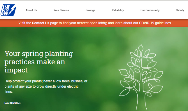 Pedernales Electric Login